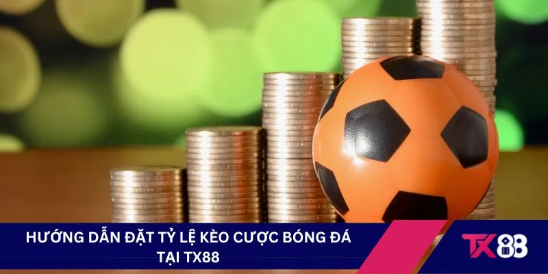 Hướng dẫn đặt tỷ lệ kèo cược bóng đá tại TX88
